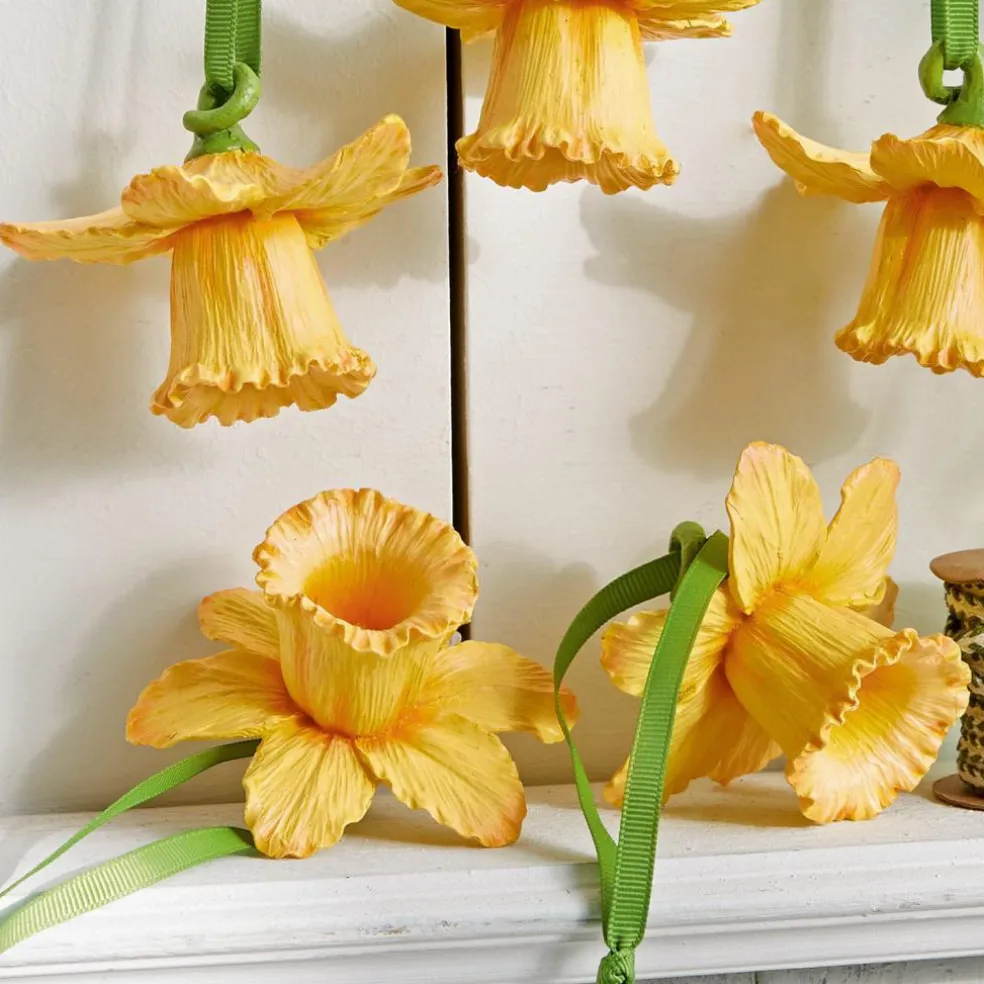 Anhänger 5er Set Lozere