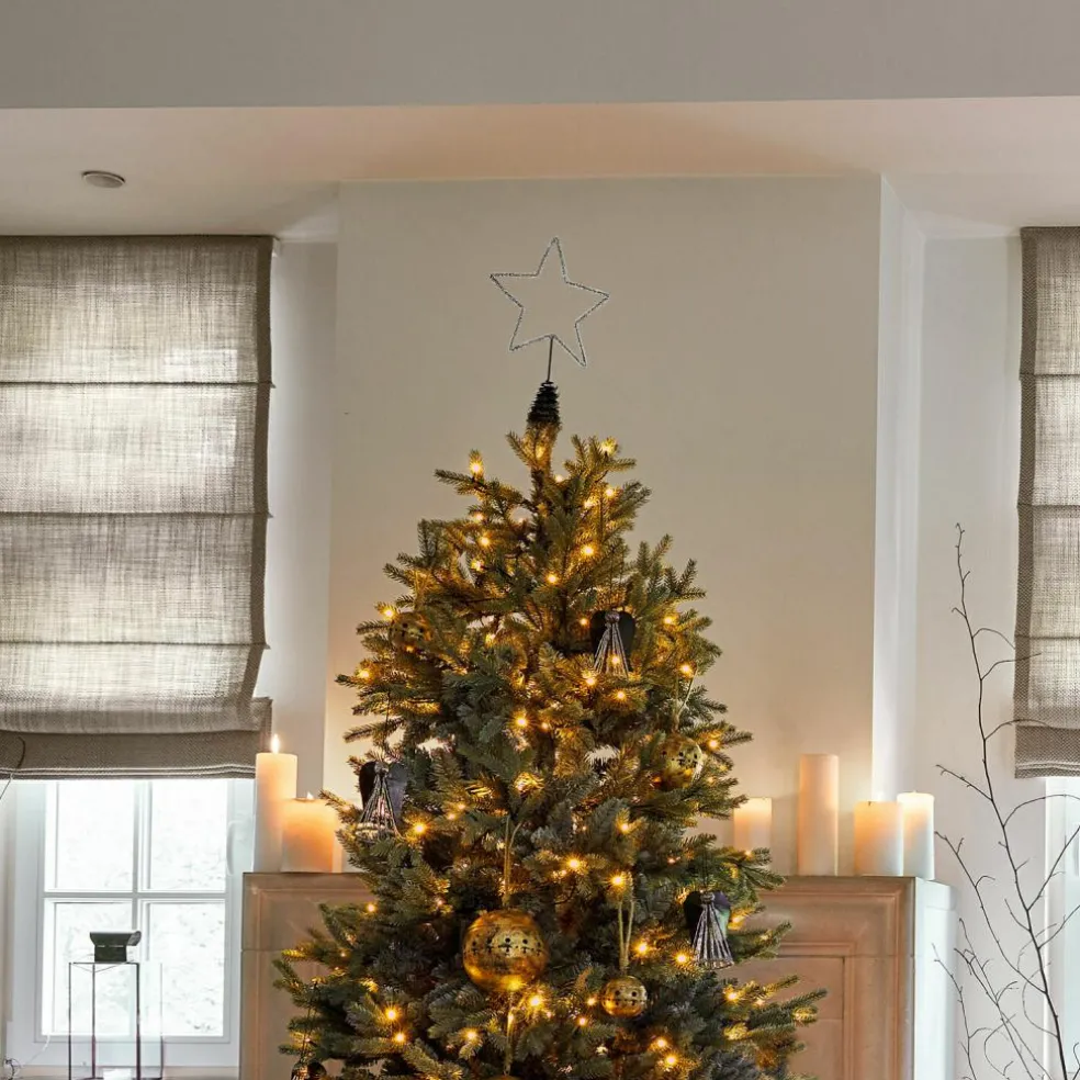 Baumspitze Nobiletto