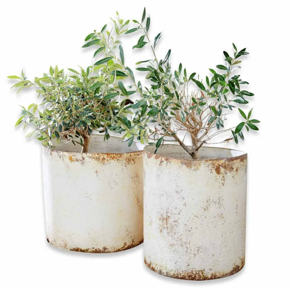 Übertopf 2er Set Sconne