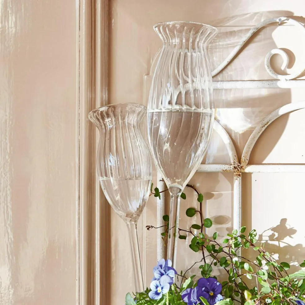 Bewässerungshilfe 2er Set Radisa