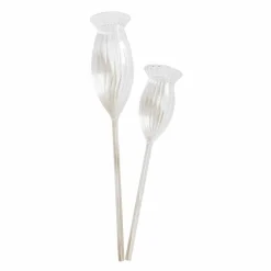 Bewässerungshilfe 2er Set Radisa