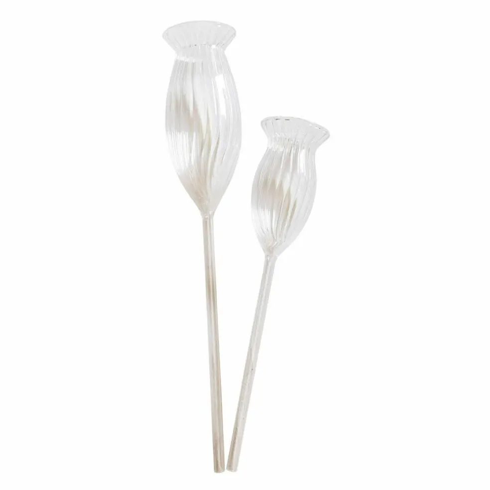 Bewässerungshilfe 2er Set Radisa