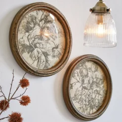 Bild 2er Set Phaurette