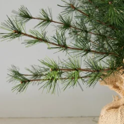 Deko-Baum 2er Set Bohicon