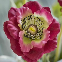 Deko-Blume 3er Set Inara