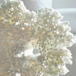 Deko-Koralle Condière