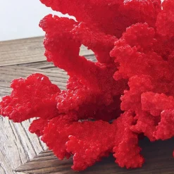 Deko-Koralle Reddish