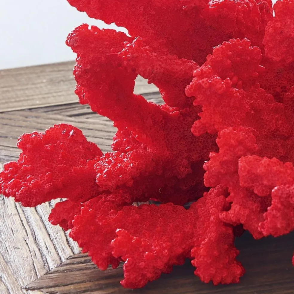 Deko-Koralle Reddish