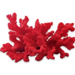 Deko-Koralle Reddish