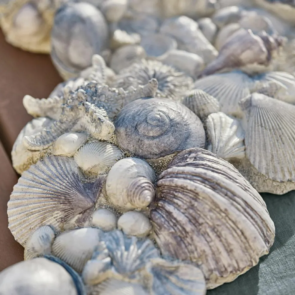 Deko-Muscheln Potnarvin