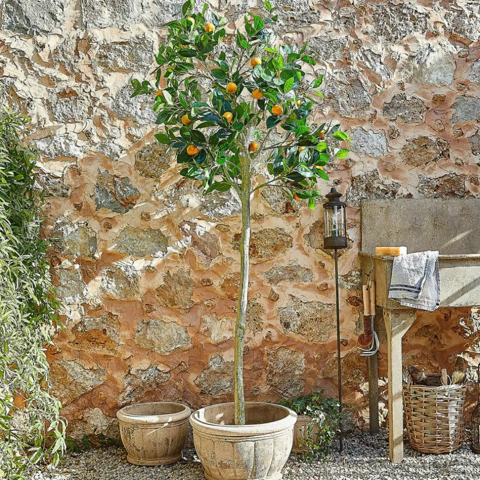 Deko-Pflanze Delbart