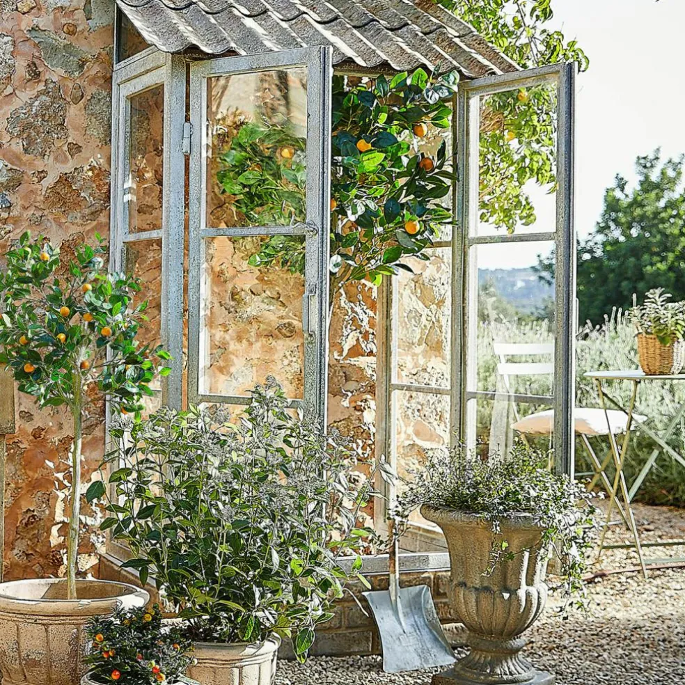 Deko-Pflanze Delbart