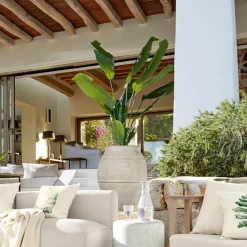 Deko-Pflanze Lennidas