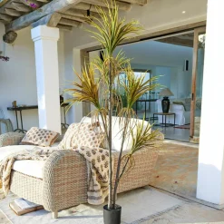 Deko-Topfpflanze Ancerac