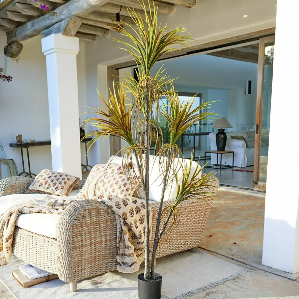 Deko-Topfpflanze Ancerac