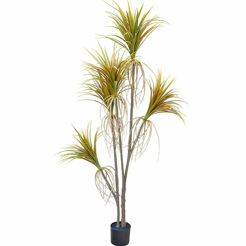 Deko-Topfpflanze Ancerac