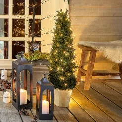 Deko-Topfpflanze Arras