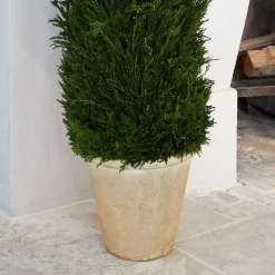 Deko-Topfpflanze Arras