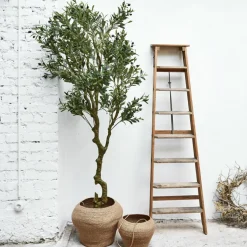 Deko-Topfpflanze Dambly