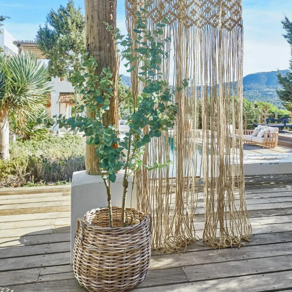 Deko-Topfpflanze Dorevi