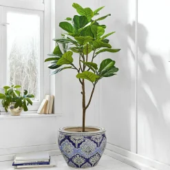 Deko-Topfpflanze Evolet