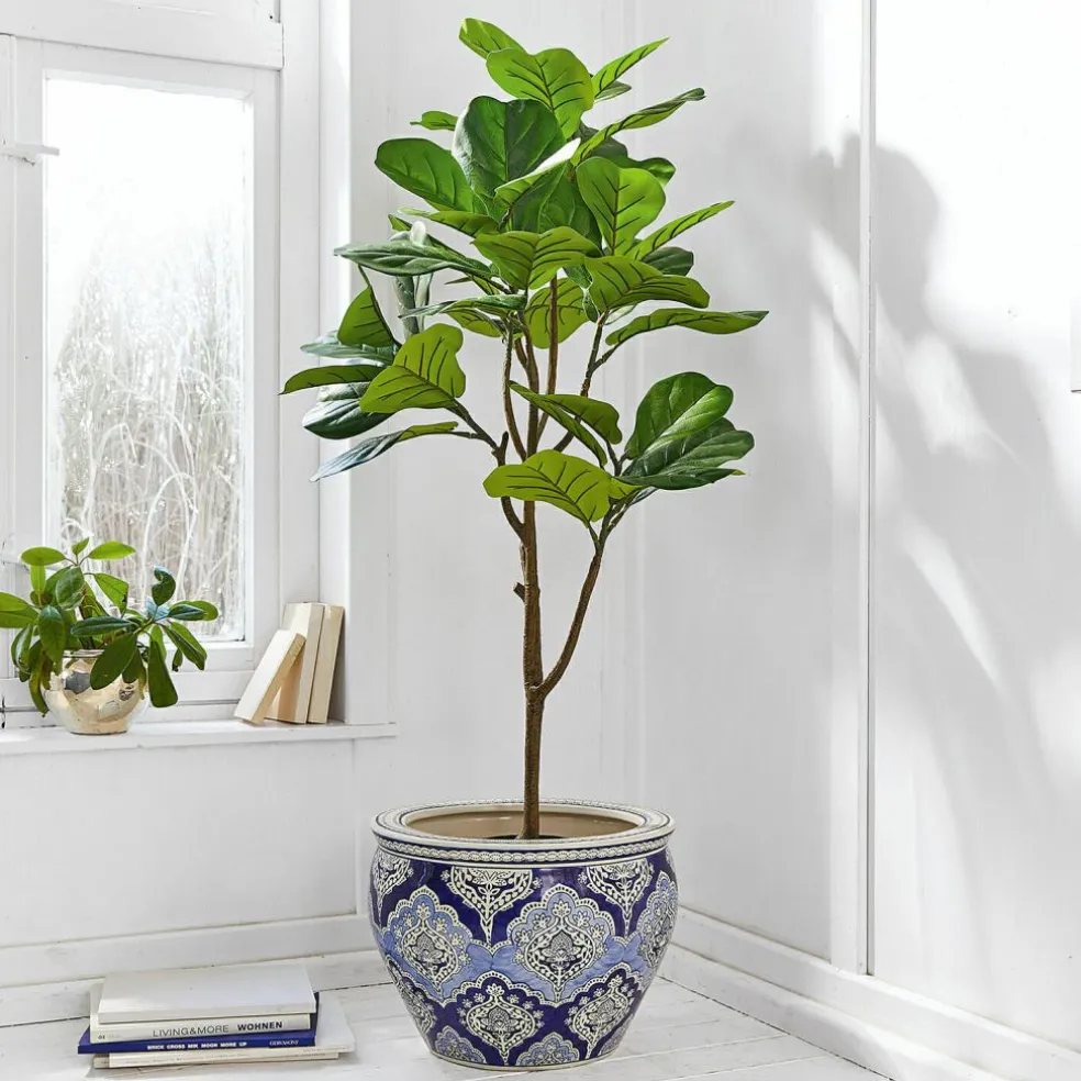 Deko-Topfpflanze Evolet