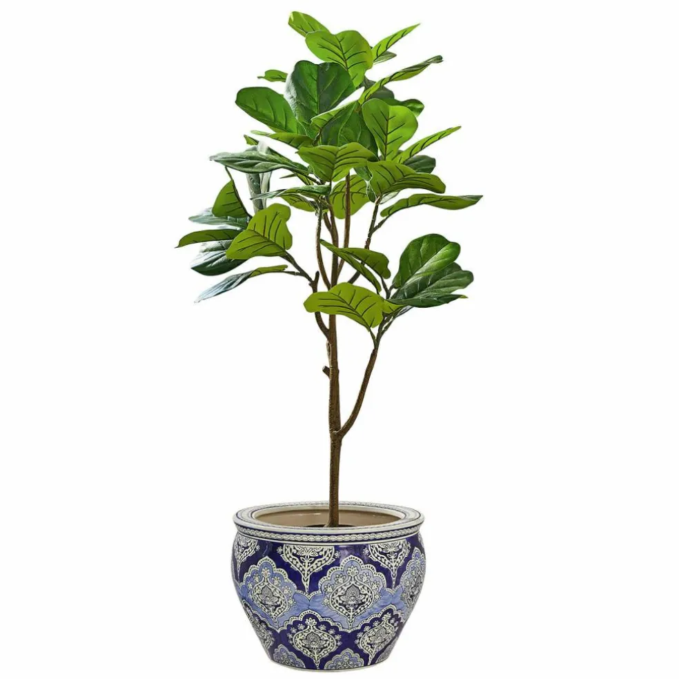 Deko-Topfpflanze Evolet