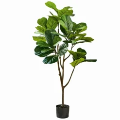 Deko-Topfpflanze Evolet