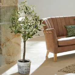 Deko-Topfpflanze Mariuccia