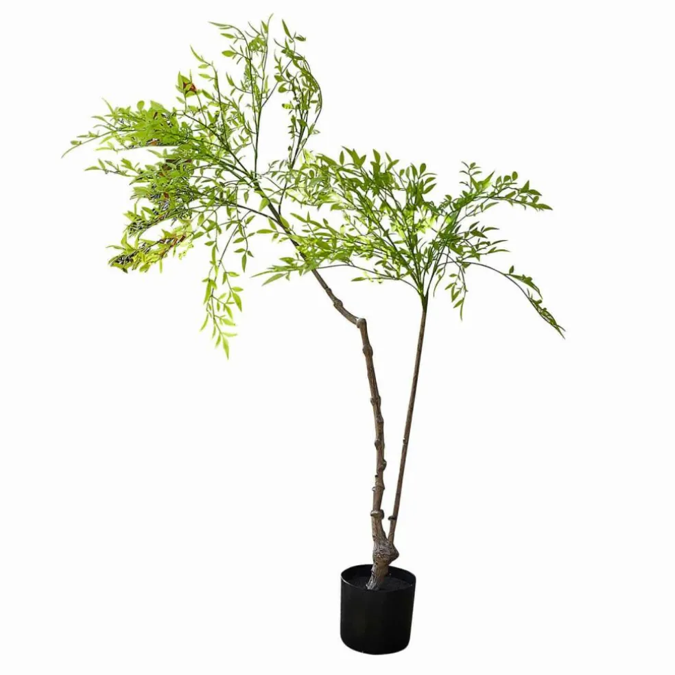 Deko-Topfpflanze 2.Wahl Avenelle