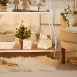 Geschenkbox 2er Set Hartsfield