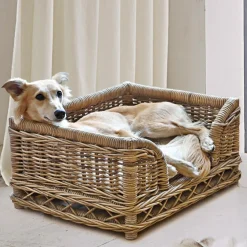 Korb für Haustiere Gorron