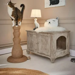 Kratzbaum Florévine