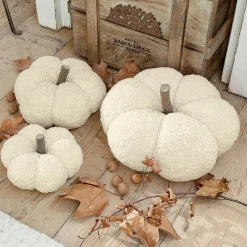 Kürbis 3er Set Benjamin