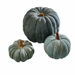 Kürbis 3er Set Pumpkin