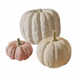 Kürbis 3er Set Pumpkin