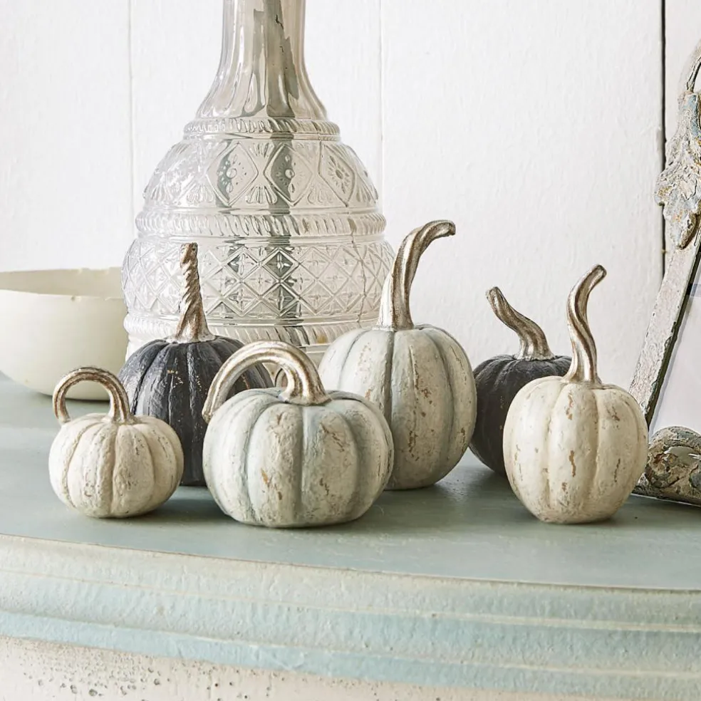 Kürbis 6er Set Yokane