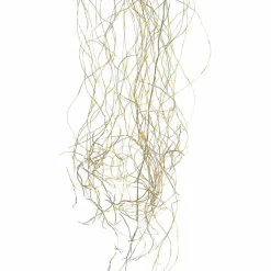 Lichtervorhang Lysfjord