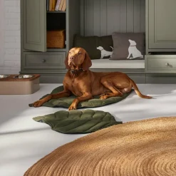 Matte für Haustiere Keirena