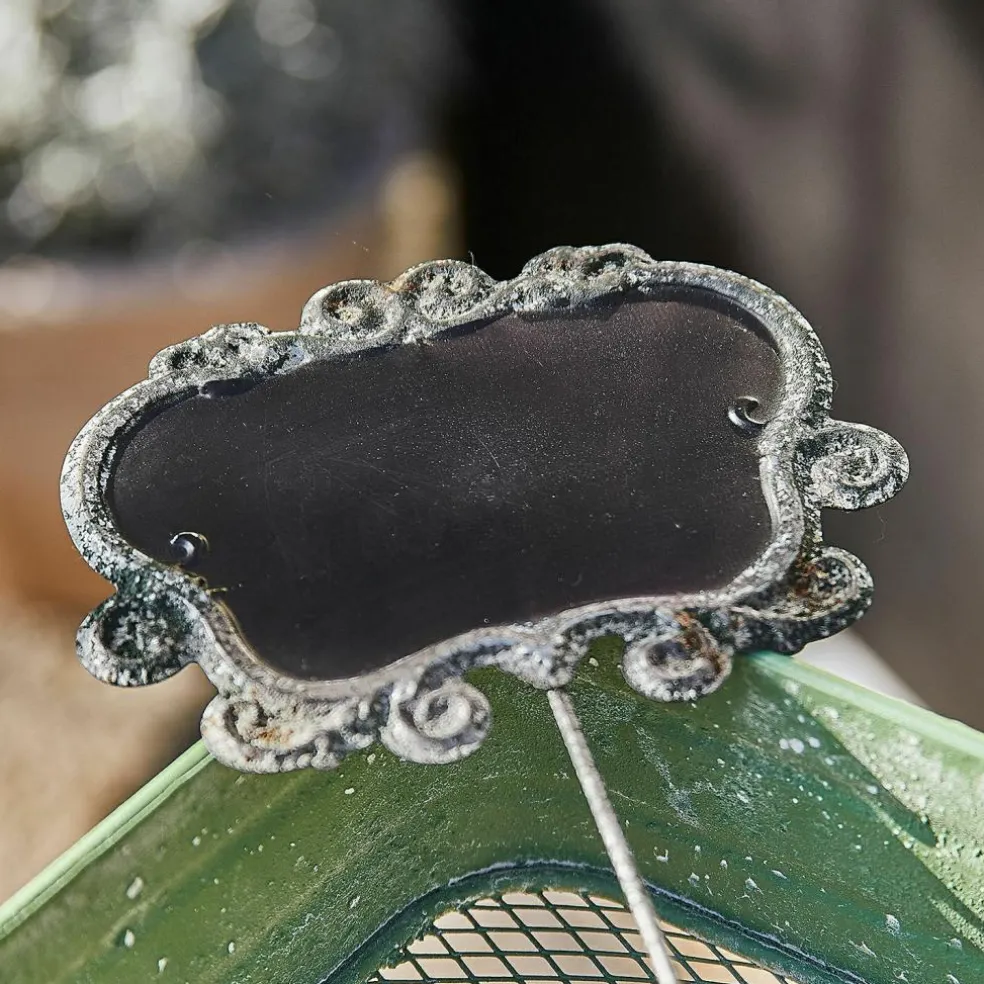 Pflanzenstecker 3er Set Trevalin