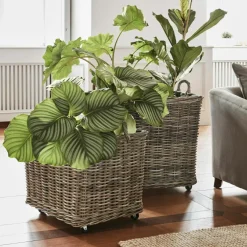 Pflanzkorb 2er Set Gialousa