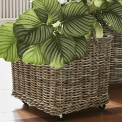 Pflanzkorb 2er Set Gialousa