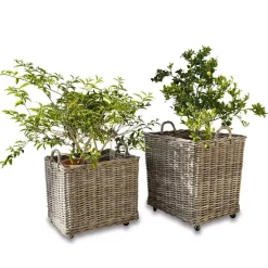 Pflanzkorb 2er Set Gialousa
