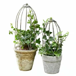 Rankhilfe 2er Set Arroyos