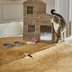 Spielzeug für Haustiere Miezmo