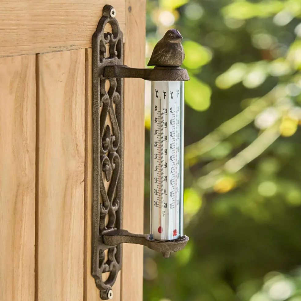 Thermometer Binyamin