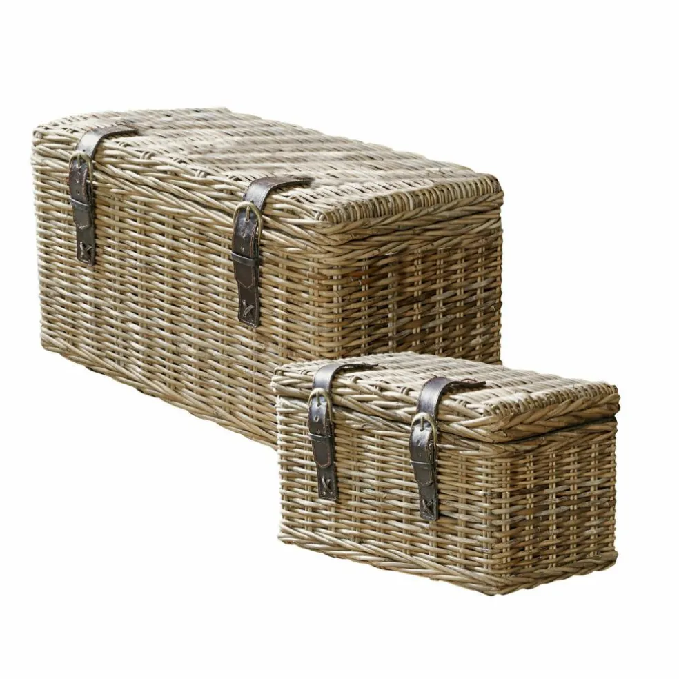 Truhe 2er Set Darill