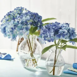 Vase 2er Set Paimpont