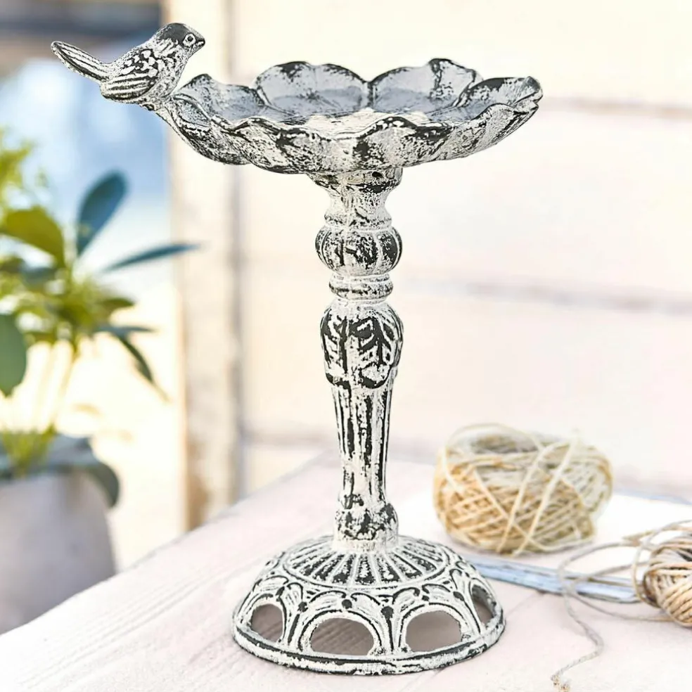 Vogeltränke Petrofani