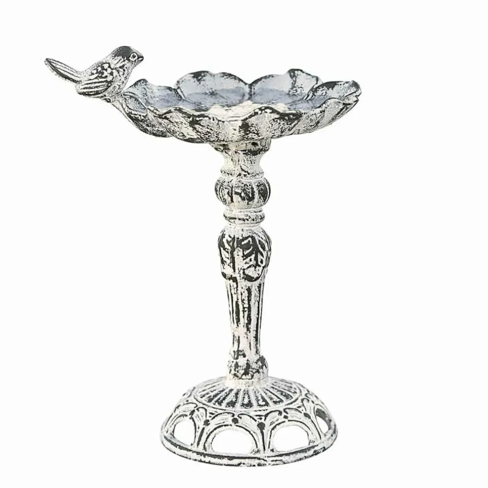 Vogeltränke Petrofani